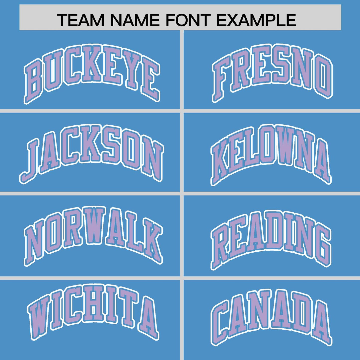 Custom Powder Blue Light Purple Raglan Sleeves Varsity Full-Snap Letterman Two Tone Hoodie Jacket