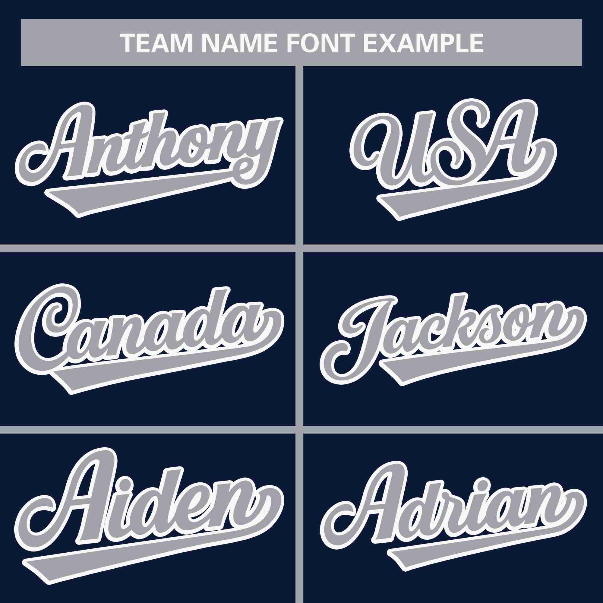 Custom Navy Gray Classic Style Personalized Full Button Authentic Baseball Jersey