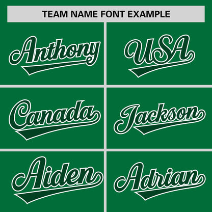 Custom Teal Green-White Personalized Raglan Sleeves V-Neck Hockey Jersey