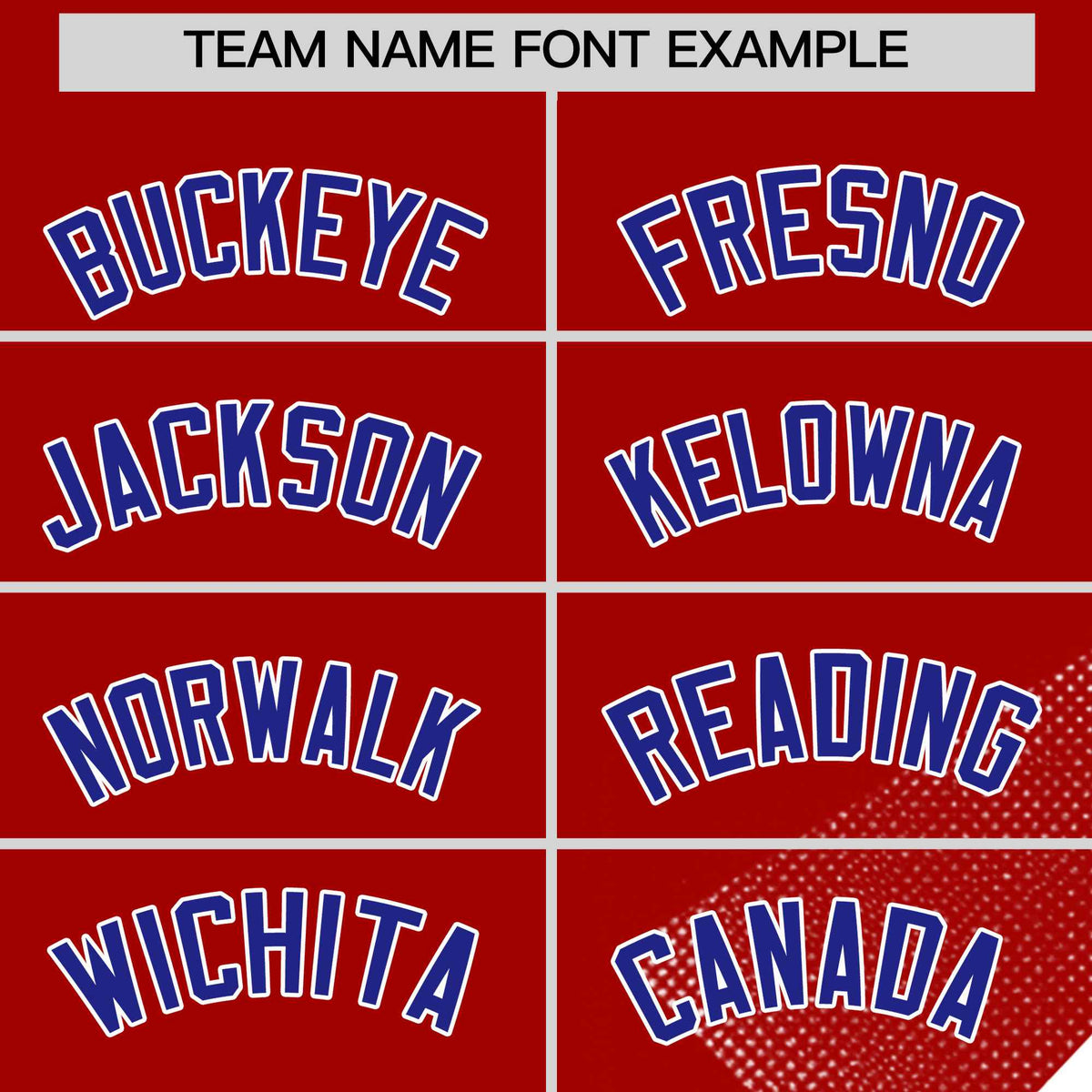 Custom Royal Red Raptor Series Raglan Sleeves Street Style Baseball Jersey