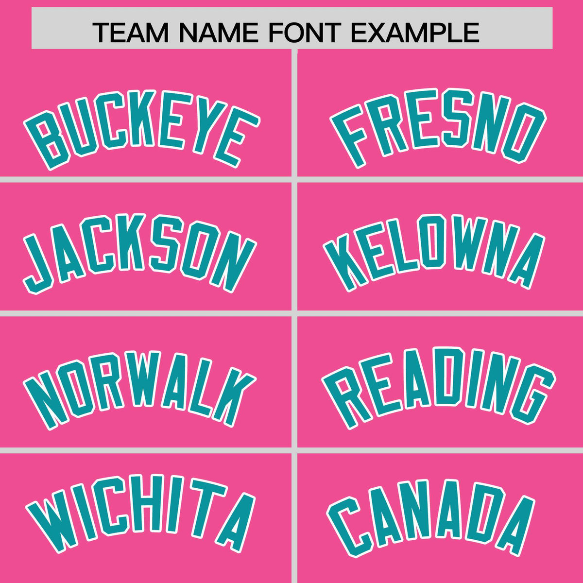 Custom Pink Aqua Stripe Animals Graffiti Pattern Raglan Sleeves Authentic Baseball Jersey