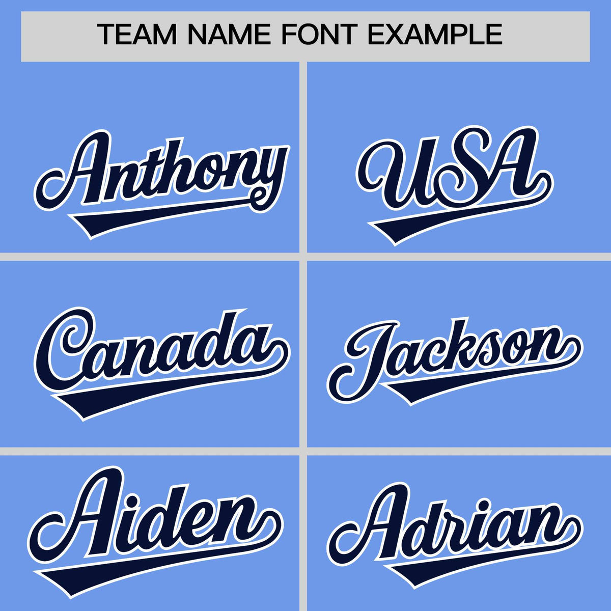 Custom Light Blue Navy Stripe Animals Graffiti Pattern Raglan Sleeves Authentic Baseball Jersey