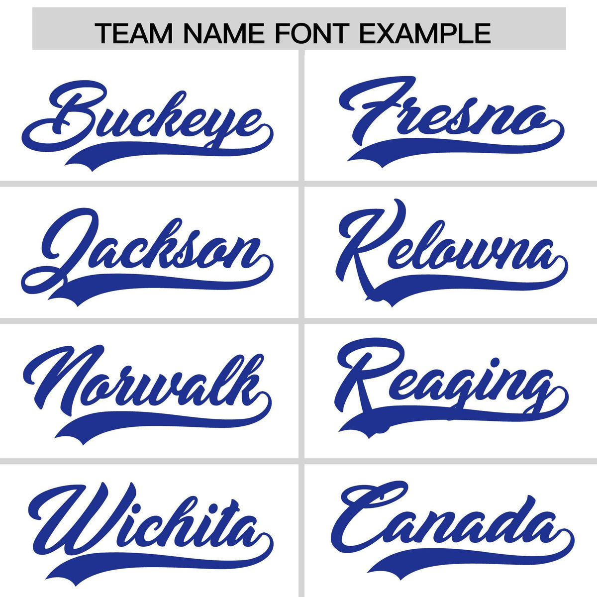 Custom White Royal Stripe Animals Graffiti Pattern Raglan Sleeves Authentic Baseball Jersey