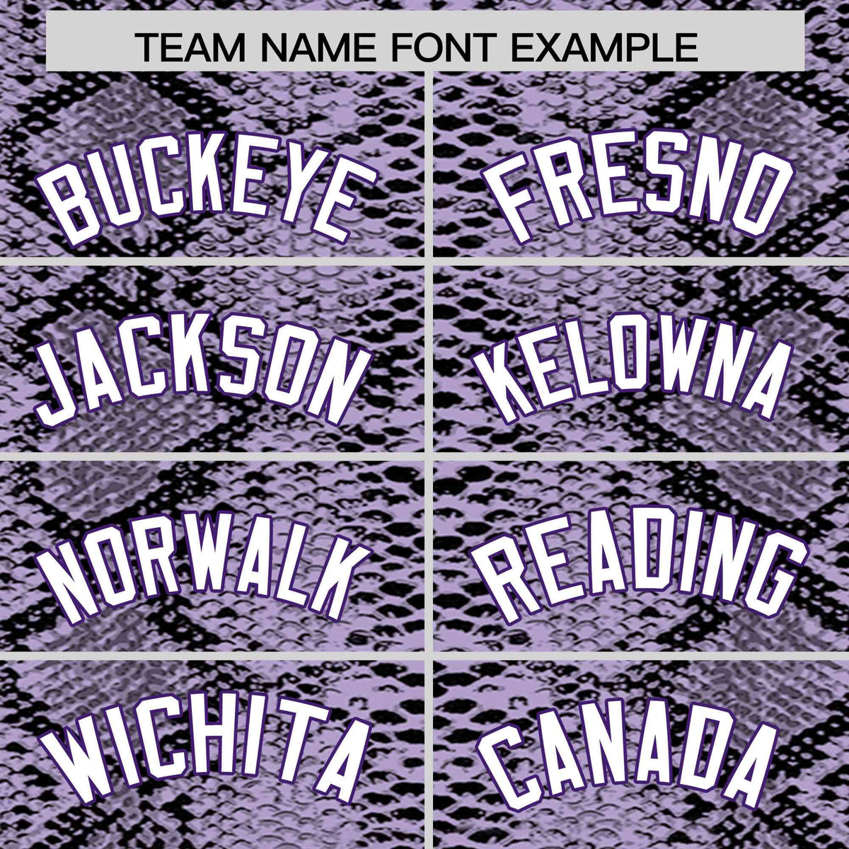 Custom Multi Color Snakeskin Pattern Authentic Baseball Jersey