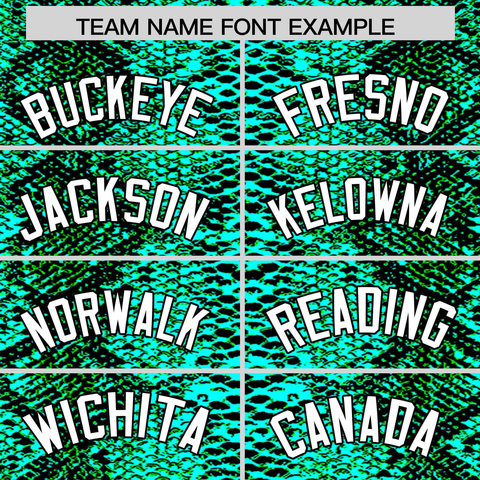 Custom Multi Color Snakeskin Pattern Authentic Baseball Jersey
