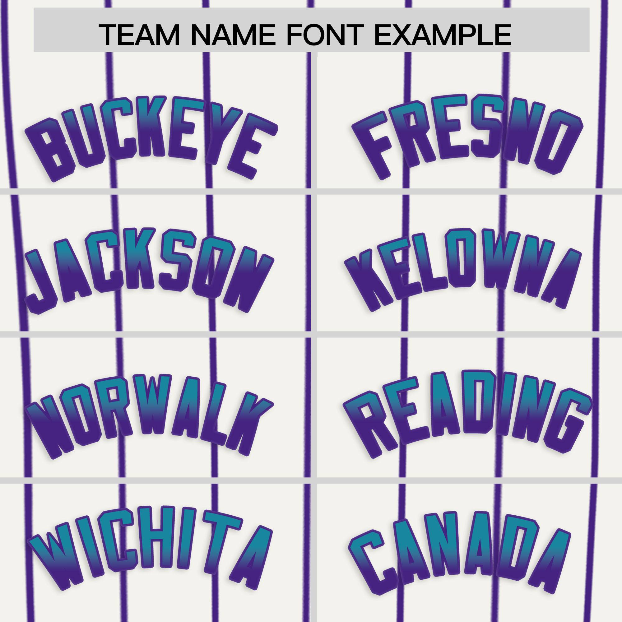 Custom White Charleston.SC City Silhouette Authentic Baseball Jersey