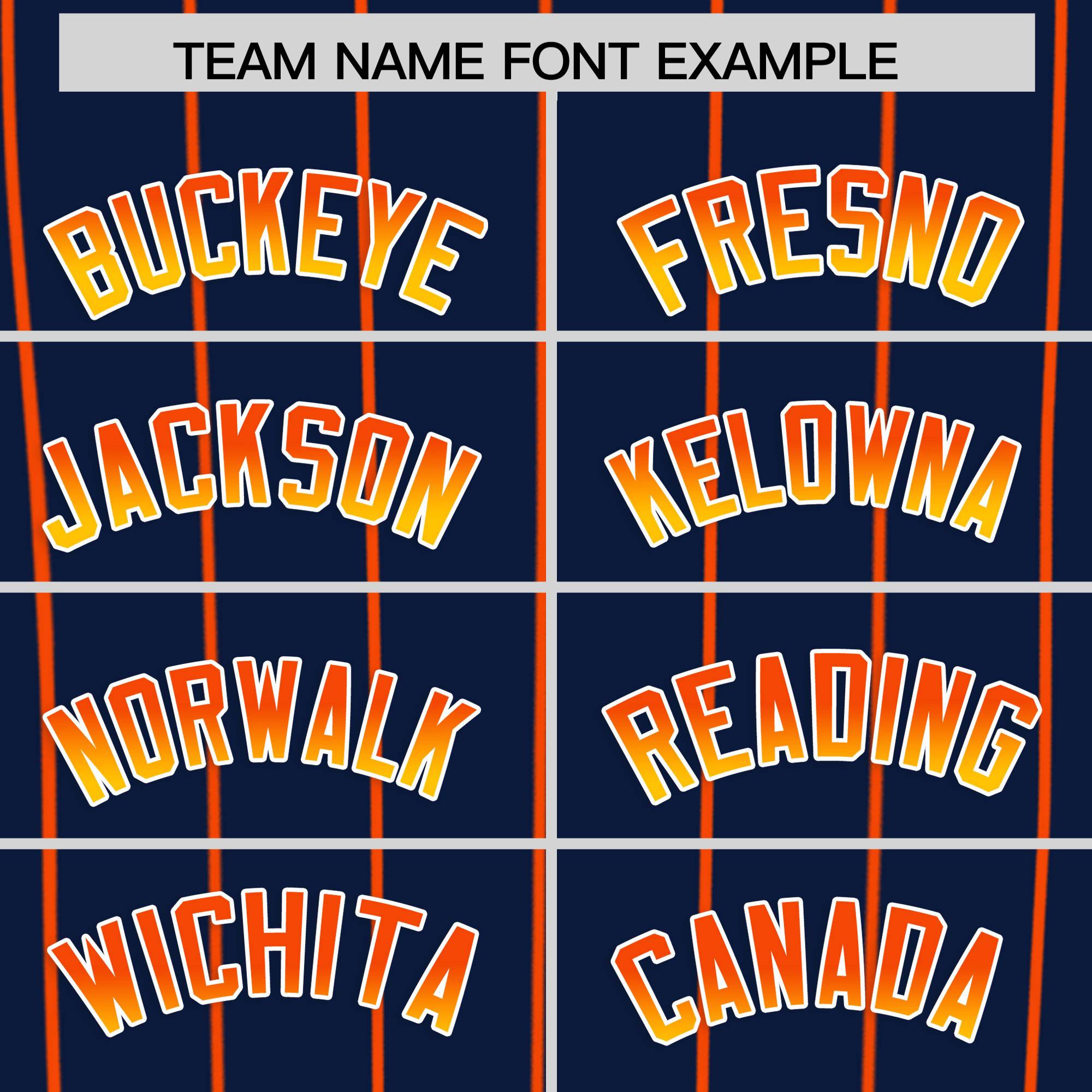 Custom Navy Houston City Silhouette Authentic Baseball Jersey