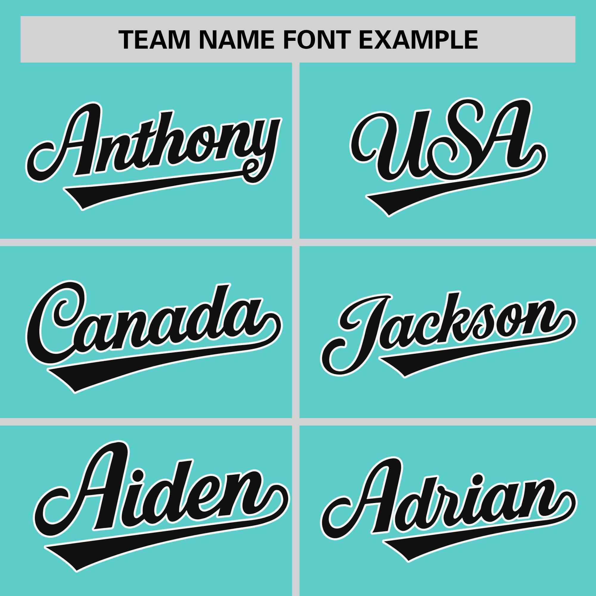 Custom Aqua White Stripe Fashion Raglan Sleeves Authentic Two-Button Softball Jersey