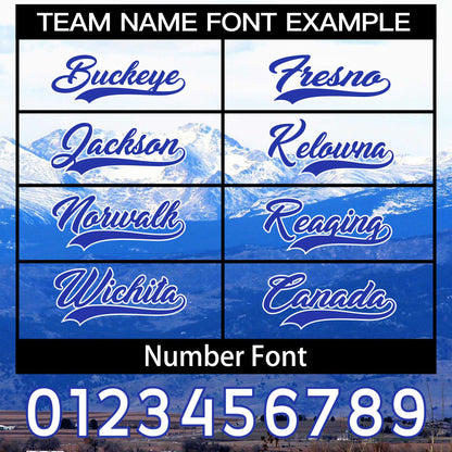 Custom Personalized Denver City Landscape Basketball Shorts