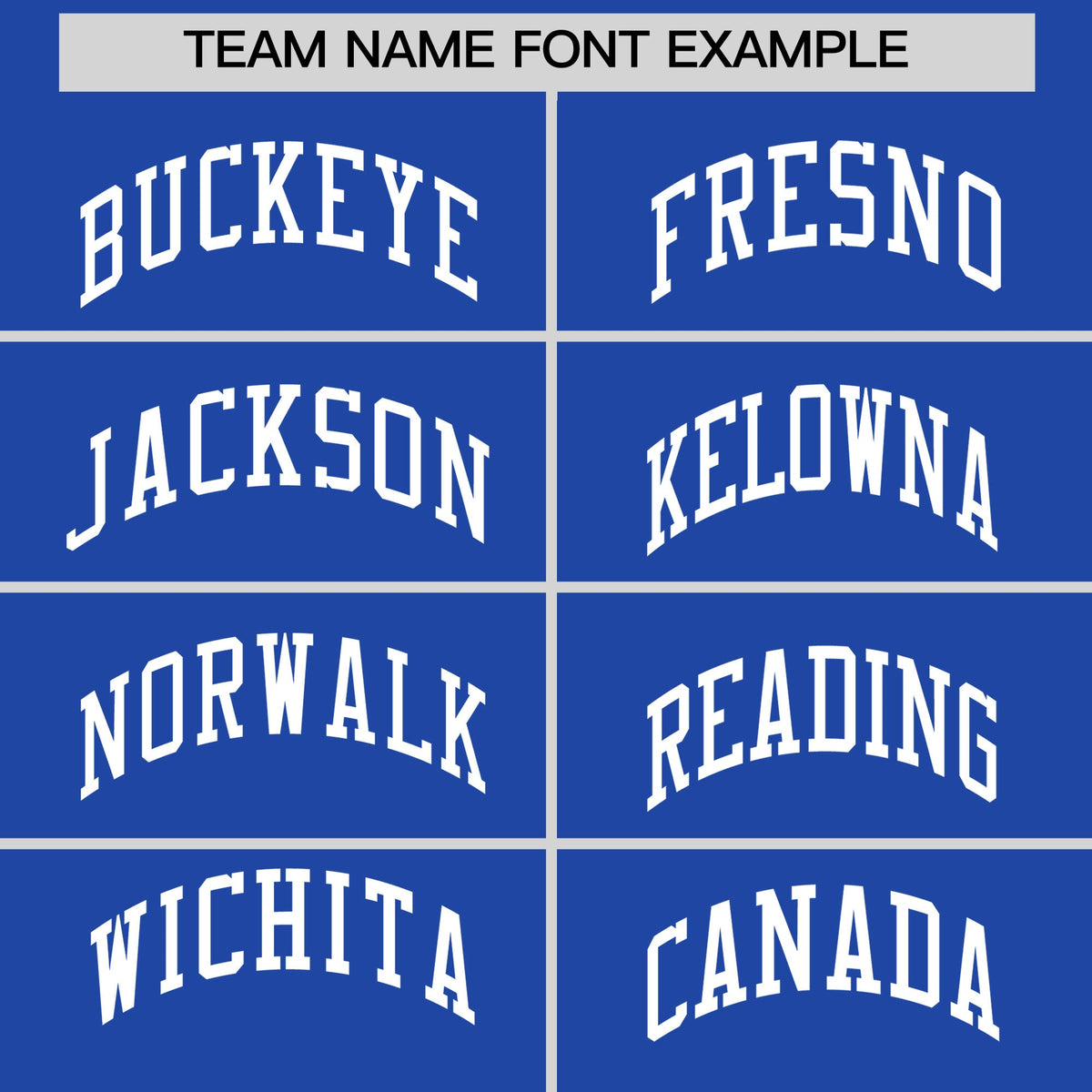 Custom Royal Blue White Raglan Sleeves Full-Snap Varsity Faux Leather Letterman Jacket