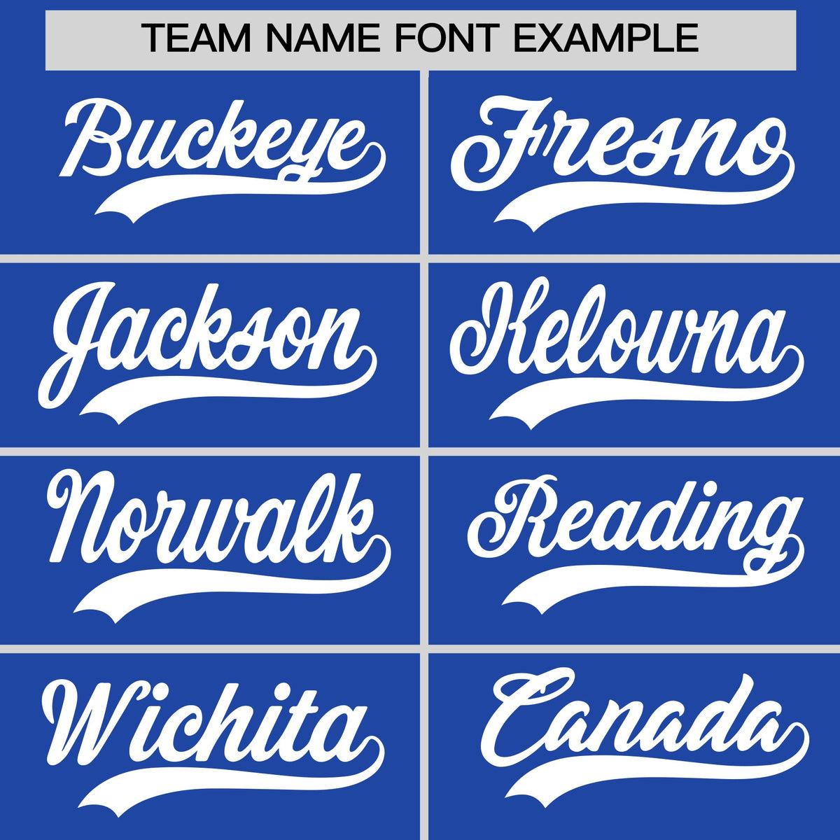 Custom Royal Blue White Raglan Sleeves Full-Snap Varsity Faux Leather Letterman Jacket