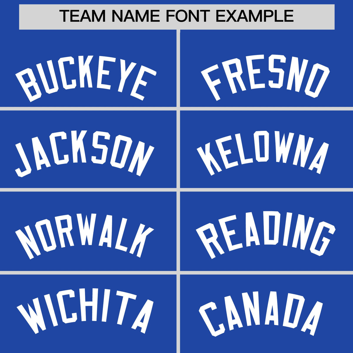 Custom Royal Blue White Raglan Sleeves Full-Snap Varsity Faux Leather Letterman Jacket