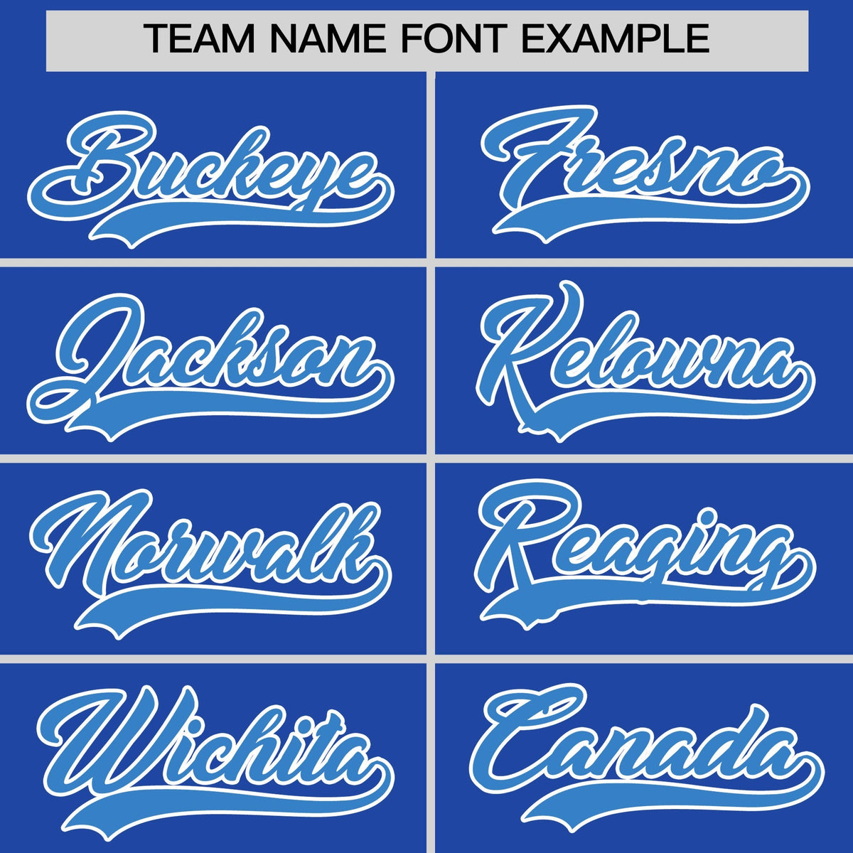 Custom Royal Blue Powder Blue Raglan Sleeves Full-Snap Varsity Faux Leather Letterman Jacket