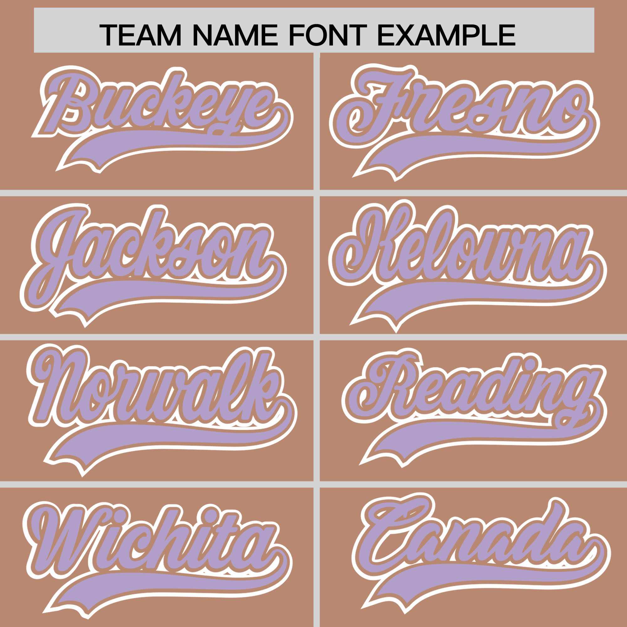 Custom Teabrown Light Purple Raglan Sleeves Varsity Full-Snap Letterman Two Tone Hoodie Jacket